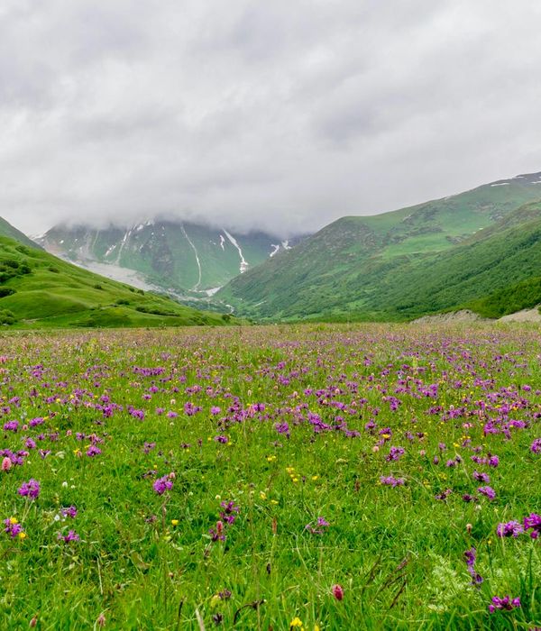 Serene mountain trail winding through lush Kazakhstan highlands with wildflowers